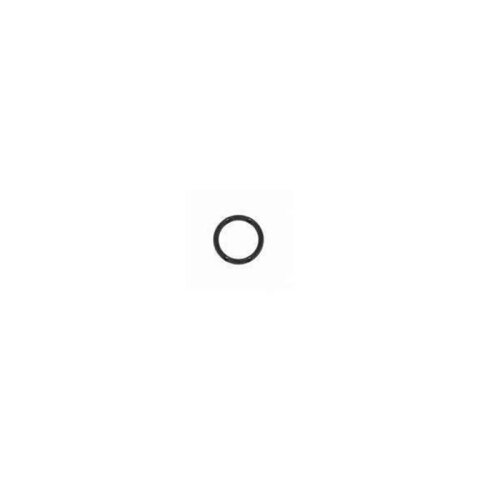 O-Ring zu Pumpe Jura